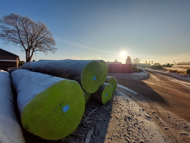 Logs in winter