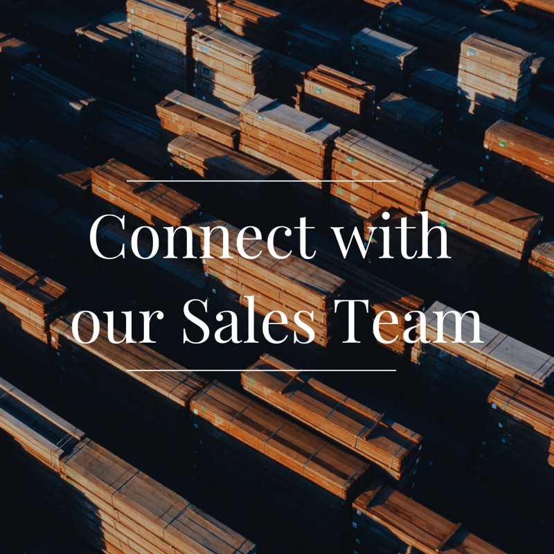 Meet our Sales Team