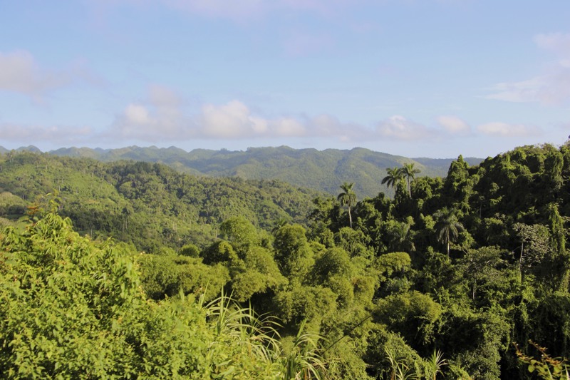 Guanayara Park-Cuba-iStock-1460568226-RGB